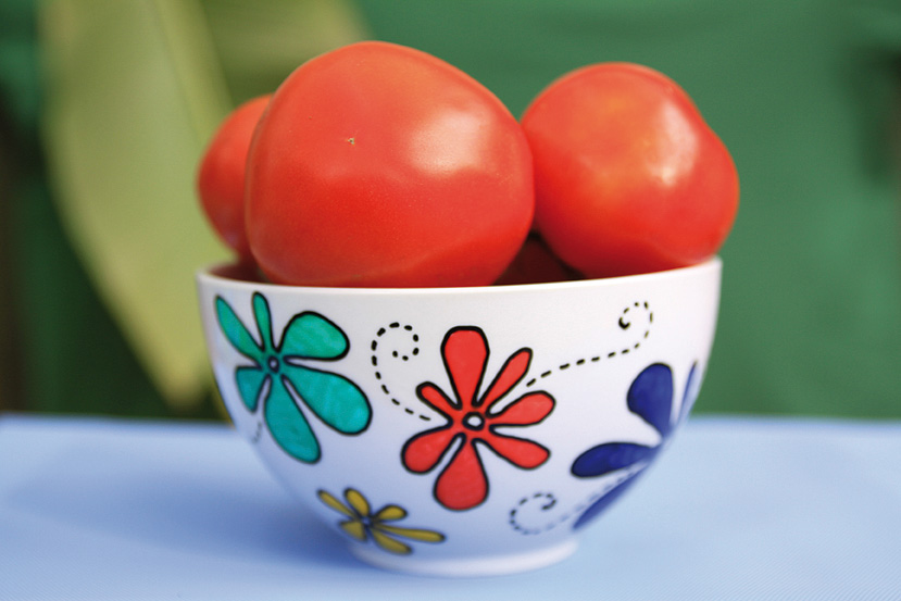 anw_porcelain_painter_06_gr